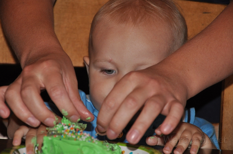 William's 2nd 1st Birthday Party 318.jpg